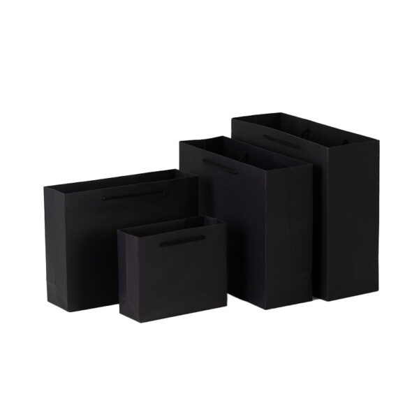 FLP-PS-002 Paper Bags – product image 2